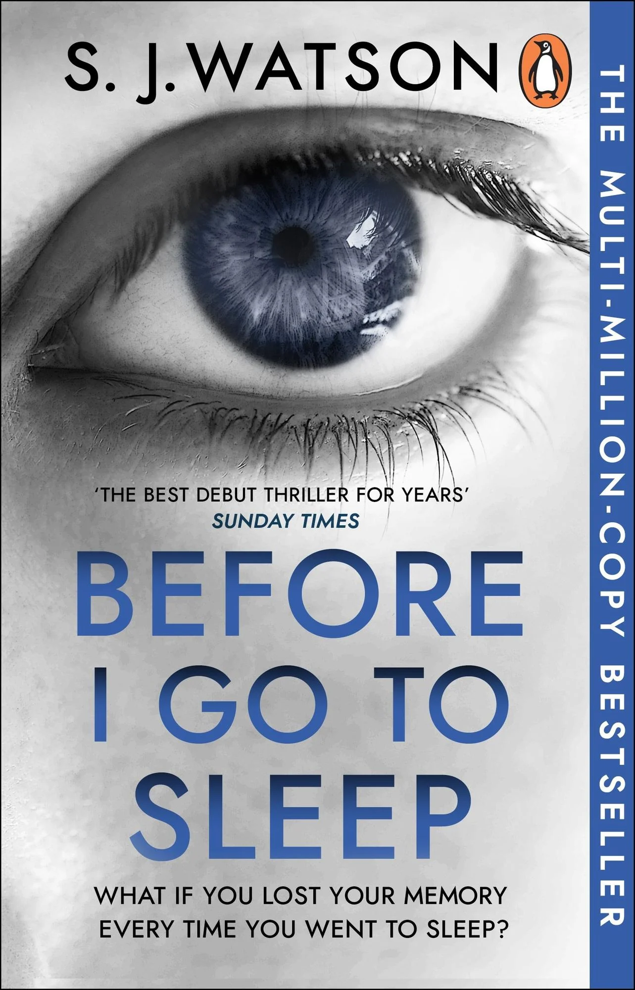 Before I Go to Sleep: The Secret, which is hidden in memory